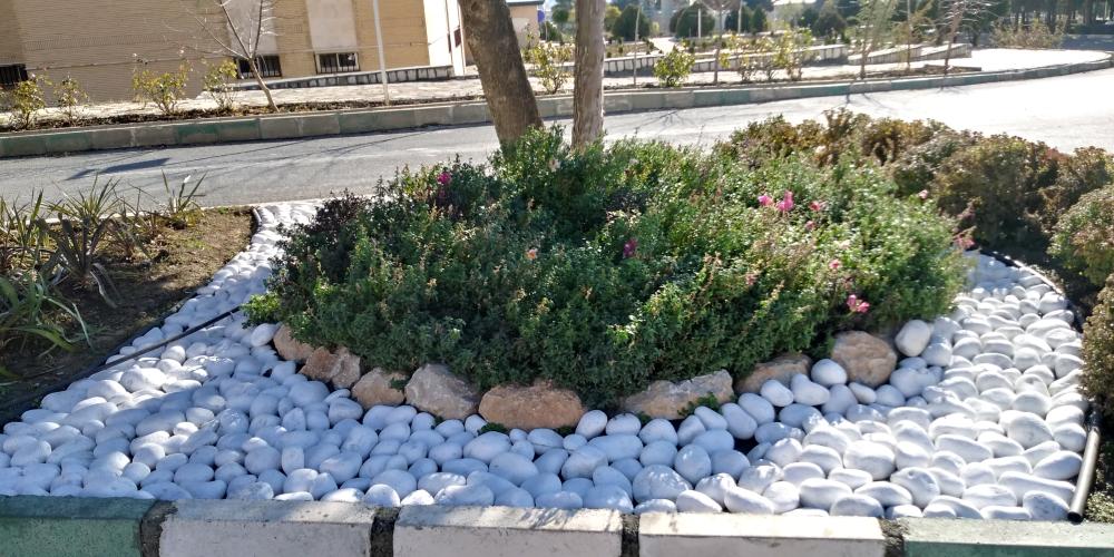 زیباسازی و گل آرایی محوطه های فضای سبز