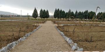 طراحی و ایجاد محوطه فضای سبز در پردیس کشاورزی و منابع طبیعی