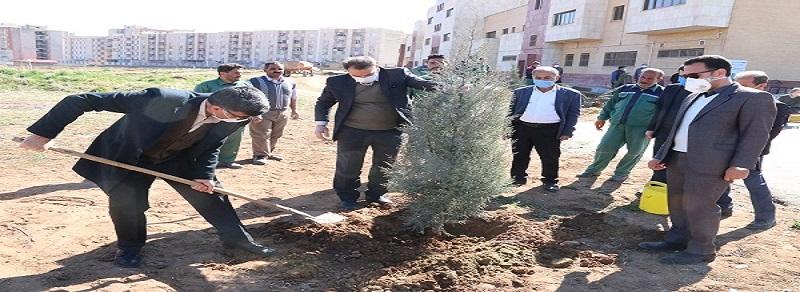 همایش پیاده روی و نهال کاری در دانشگاه رازی